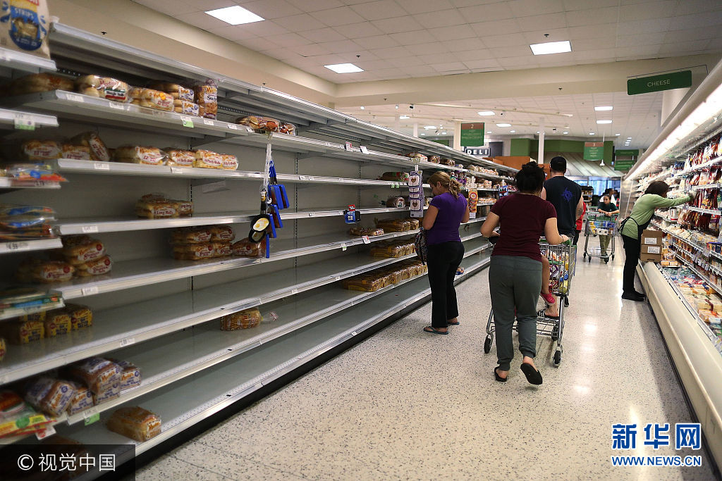 當地時間2017年9月5日，美國佛羅裏達州霍姆斯特德，民眾在商店採購食品、飲用水和三合板等物資，準備迎接颶風“艾瑪”。“艾瑪”當天增強為5級颶風，並向佛羅裏達州靠近。***_***HOMESTEAD, FL - SEPTEMBER 05: Nearly empty shelves are seen as people stock up on bread in preparation for Hurricane Irma on September 5, 2017 in Homestead, Florida. Preparations are underway as Irma has intensified to a Category 5 hurricane and landfall in Florida is a possibility.  (Photo by Joe Raedle/Getty Images)