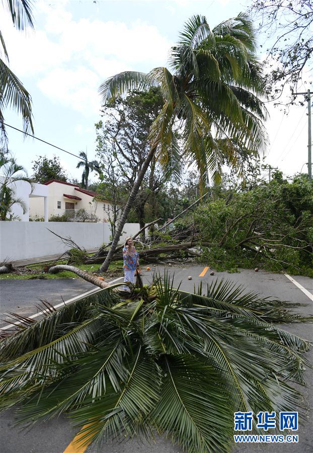（國際）（8）颶風過後的邁阿密