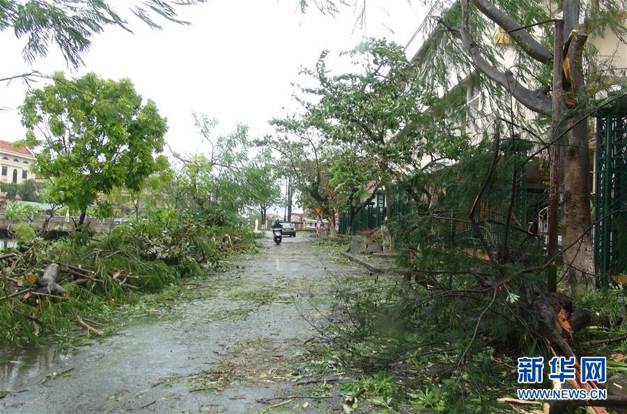 （國際）（7）颱風“杜蘇芮”登陸越南6人遇難