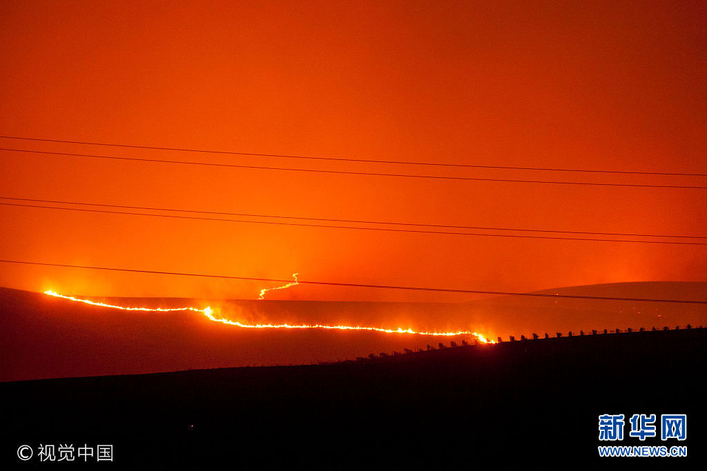 當地時間2017年10月9日，美國加州，加州北部山火肆虐，至9日上午已造成大量房屋被燒毀，上千人撤離，多條公路被關閉。加利福尼亞州州長布朗9日宣布，加州北部三個縣進入緊急狀態。***_***October 9, 2017 - Napa, California, United States: Flames moved through vineyards as a fast moving wind whipped wildfire raged through the Napa/Sonoma wine region.  More than a dozen wildfires raged across Northern California for the third straight day on Oct. 10, with the biggest ones scorching the state's famous wine country, killing at least 11 people and forcing more than 20,000 people to evacuate. The largest fires were burning in California's wine country destinations - Sonoma, Napa and Mendocino counties. (Peter DaSilva/Polaris)