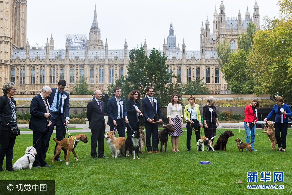 英國議員攜愛犬參加“威斯敏斯特年度狗狗”大賽 戰況激烈