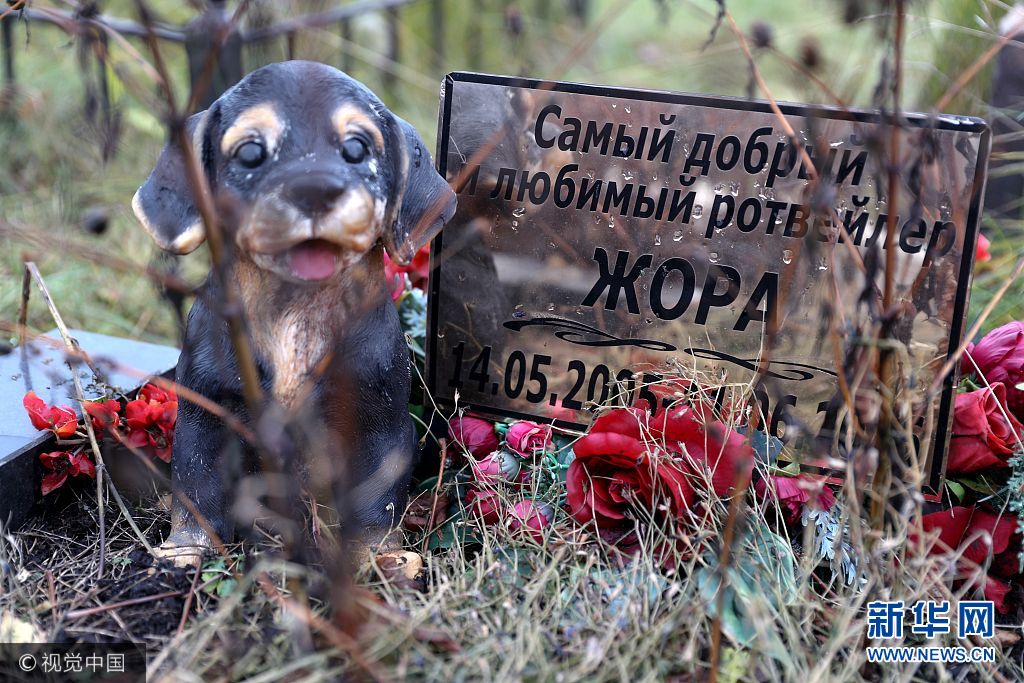 緬懷“家庭至親” 俄羅斯寵物墓地頗受歡迎