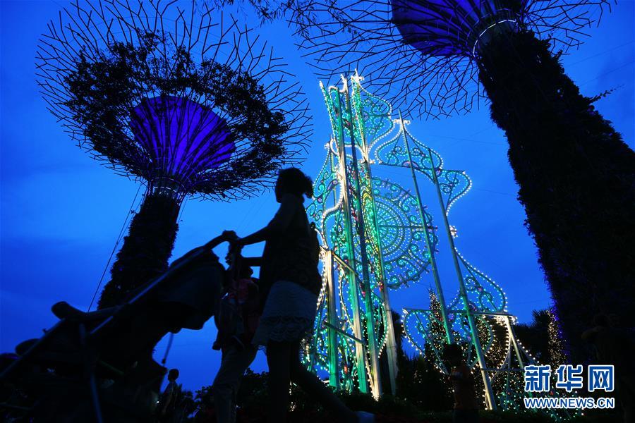 （國際）（1）新加坡濱海灣花園打造“聖誕仙境”慶祝耶誕節