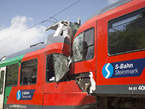 奧地利兩火車迎面相撞