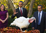 奧巴馬赦免火雞“安倍”