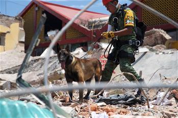 墨西哥地震搜救工作繼續 死亡人數上升至90人