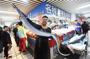 巨型鲅魚鰻魚亮相青島水産市場