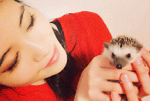 日本一女生將寵物刺猬滑稽照上傳網絡獲熱捧