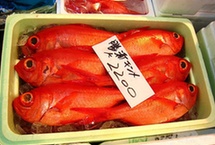 驚呆小夥伴！探訪日本海鮮市場（組圖）
