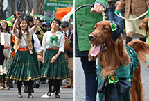 日本上千民眾盛裝遊行 慶祝聖帕特裏克節(組圖)
