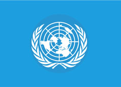聯合國概況