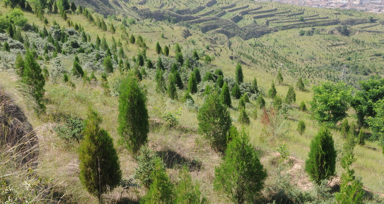 甘肃省通渭县榜罗乡