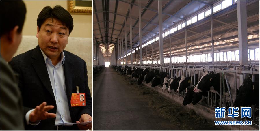 （两会&middot;影像链接）董辉代表建议：奶牛饲养应向标准化牧场模式快速转移