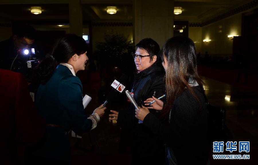 （两会）（9）两会上的铿锵玫瑰