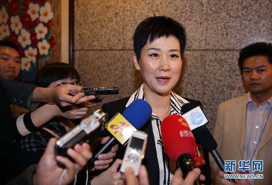 （两会）（10）两会上的铿锵玫瑰