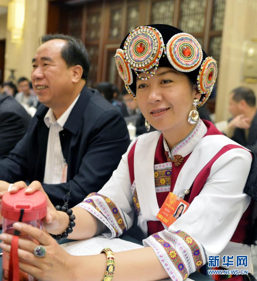 （两会）（12）两会上的铿锵玫瑰