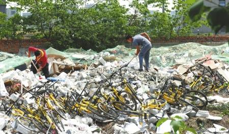 成都逾百辆共享单车遭 活埋 未解锁多为新车(图