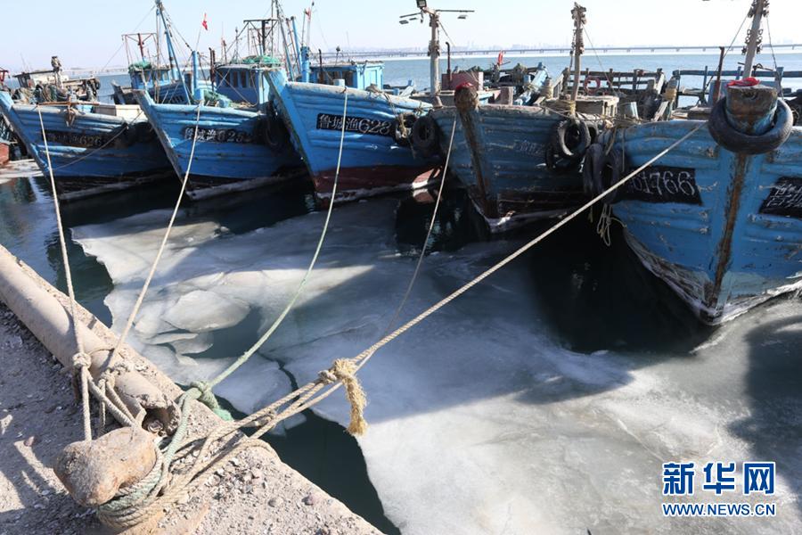 数据显示：黄渤海海冰冰情较近十年同期偏重