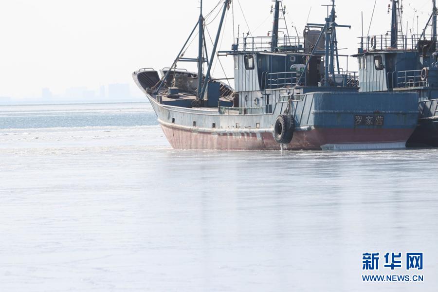 数据显示：黄渤海海冰冰情较近十年同期偏重