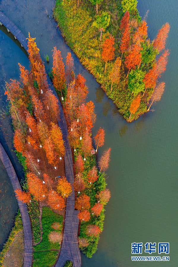 广西：冬日白石湖畔披“彩装”