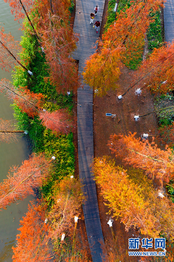 广西：冬日白石湖畔披“彩装”