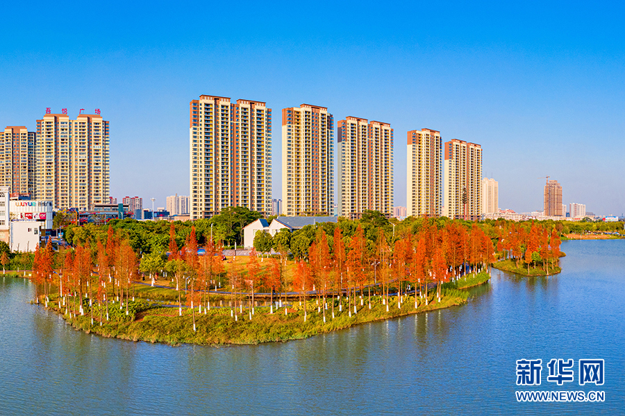 广西：冬日白石湖畔披“彩装”