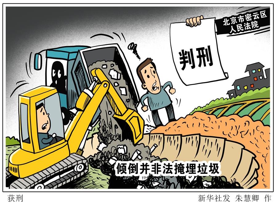 （图表&middot;漫画）［法治］获刑