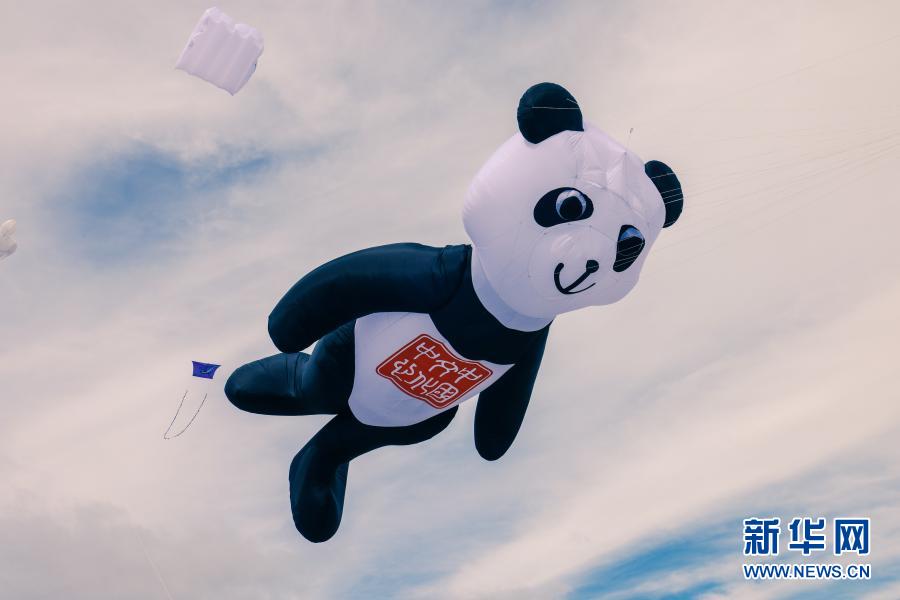 扶摇直上！中国风筝亮相新西兰最大风筝节