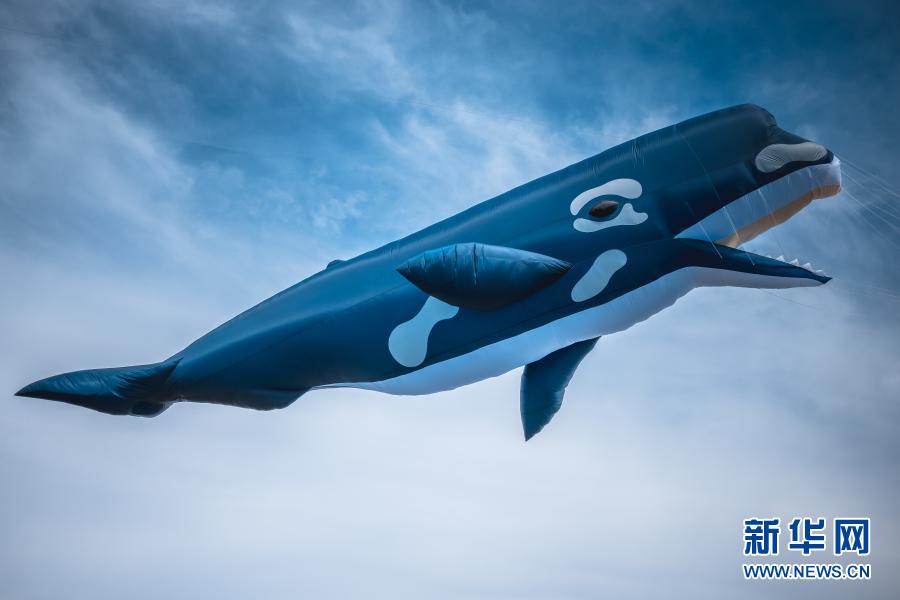 扶摇直上!中国风筝亮相新西兰最大风筝节