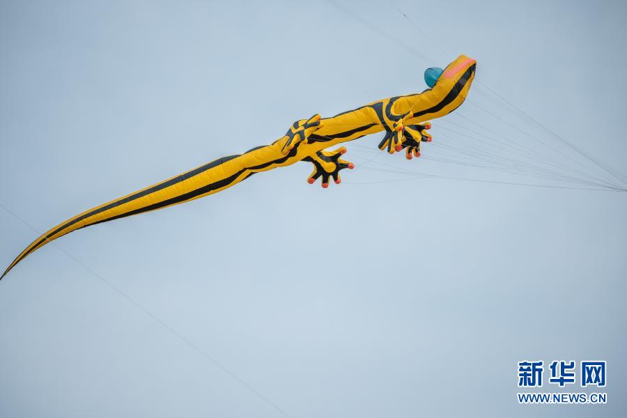 扶摇直上!中国风筝亮相新西兰最大风筝节