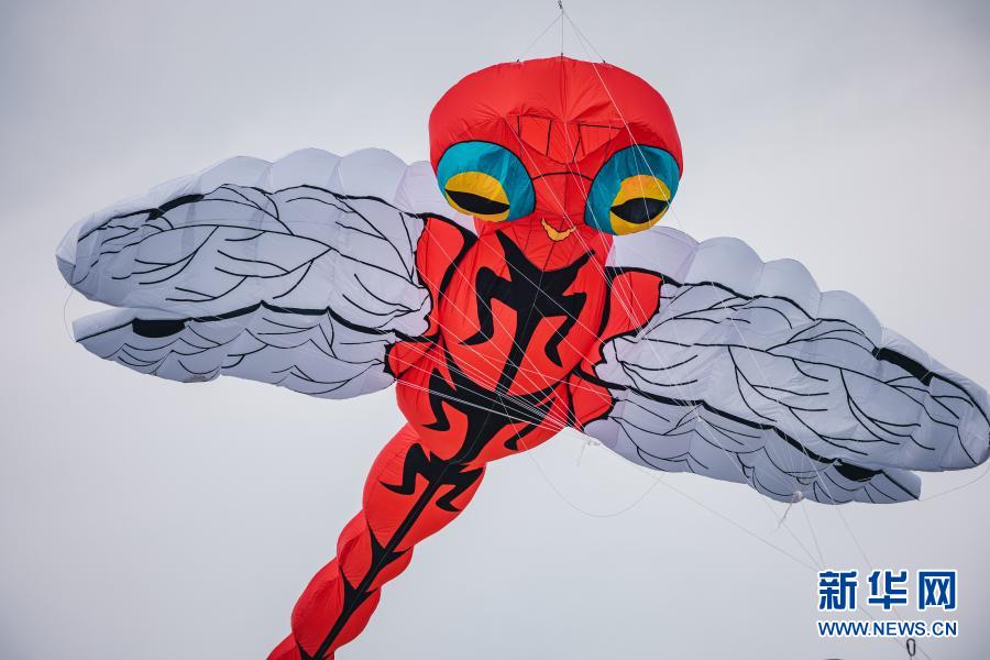 扶摇直上!中国风筝亮相新西兰最大风筝节