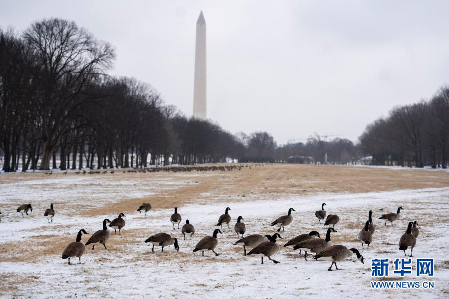 美国部分地区遭遇风雪天气