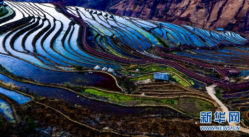 攀枝花米易梯田：层叠连绵 春色如许