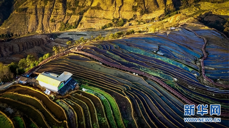 攀枝花米易梯田：层叠连绵 春色如许