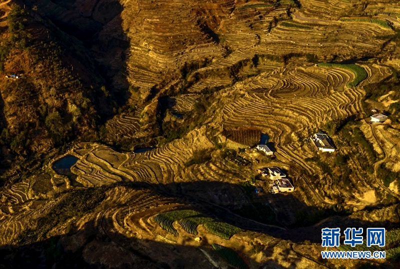 攀枝花米易梯田：层叠连绵 春色如许