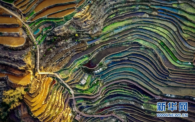 攀枝花米易梯田：层叠连绵 春色如许