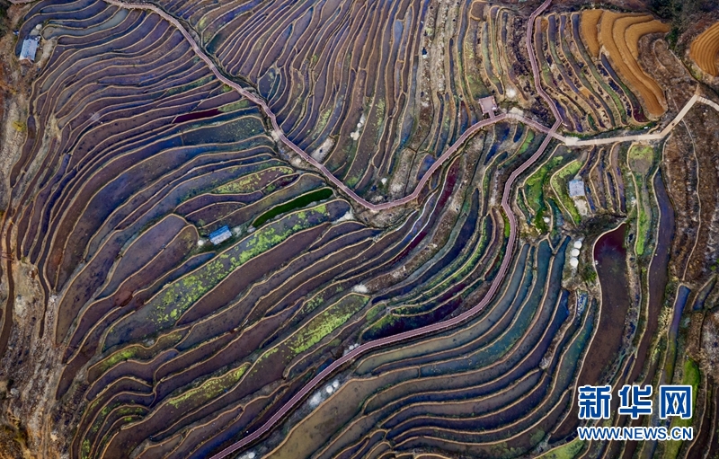 攀枝花米易梯田：层叠连绵 春色如许