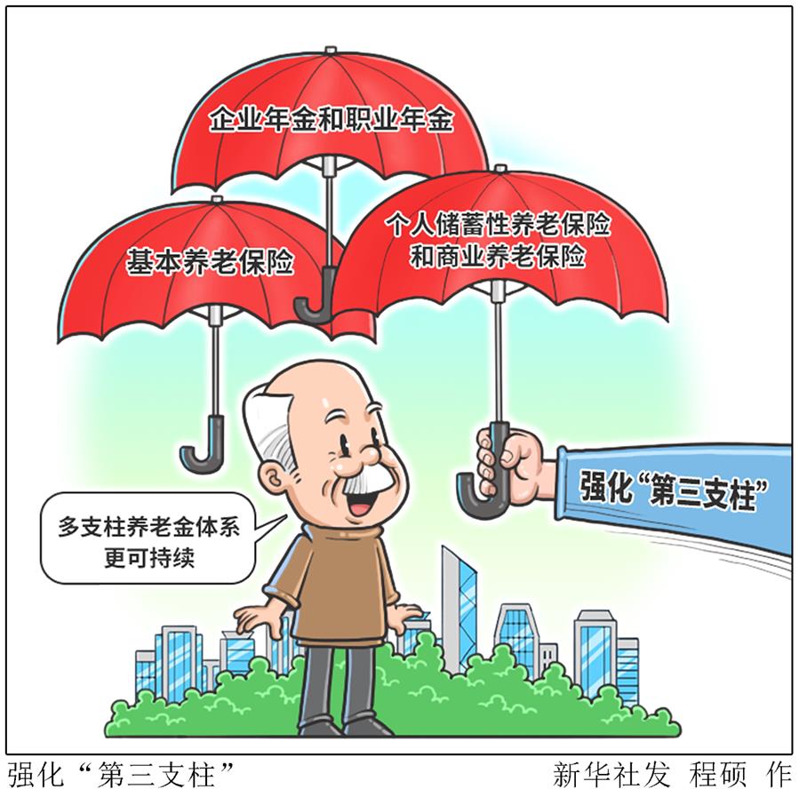 （图表&middot;漫画）［社会］强化&ldquo;第三支柱&rdquo;