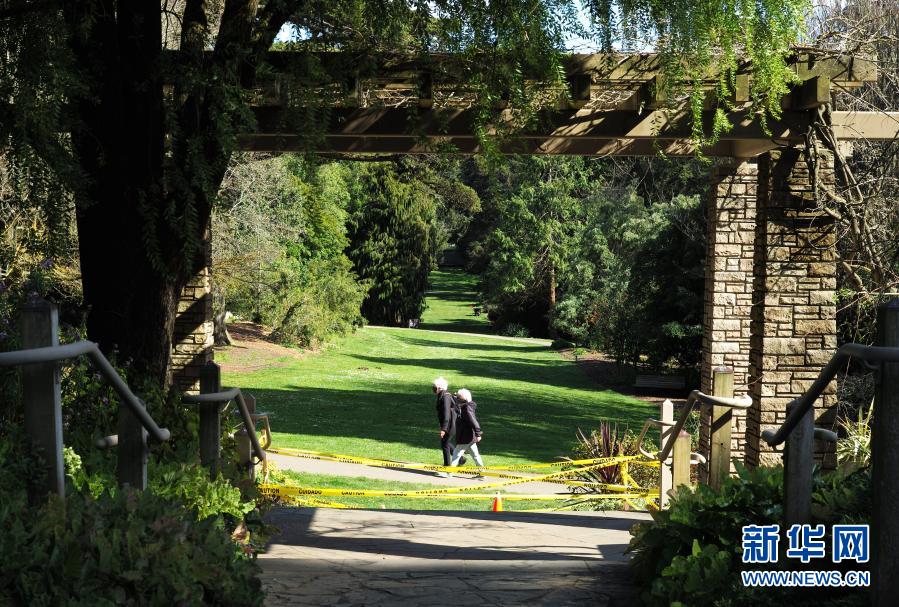 美国旧金山:满园春色关不住