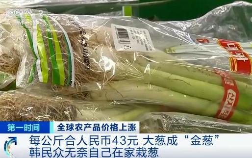 国际粮价暴涨  中国的粮食安全有没有保障?