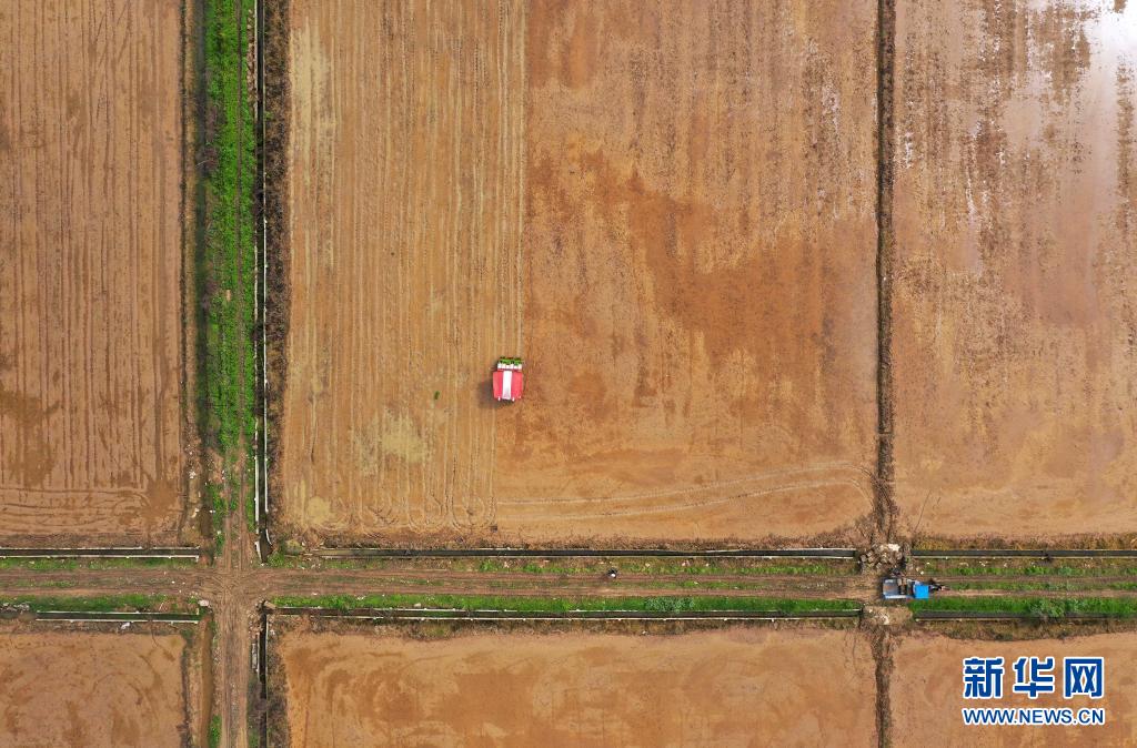 江西南昌：天气转暖 农户插秧忙