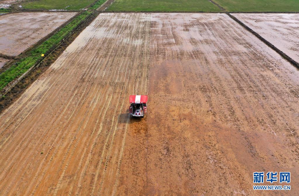 江西南昌：天气转暖 农户插秧忙