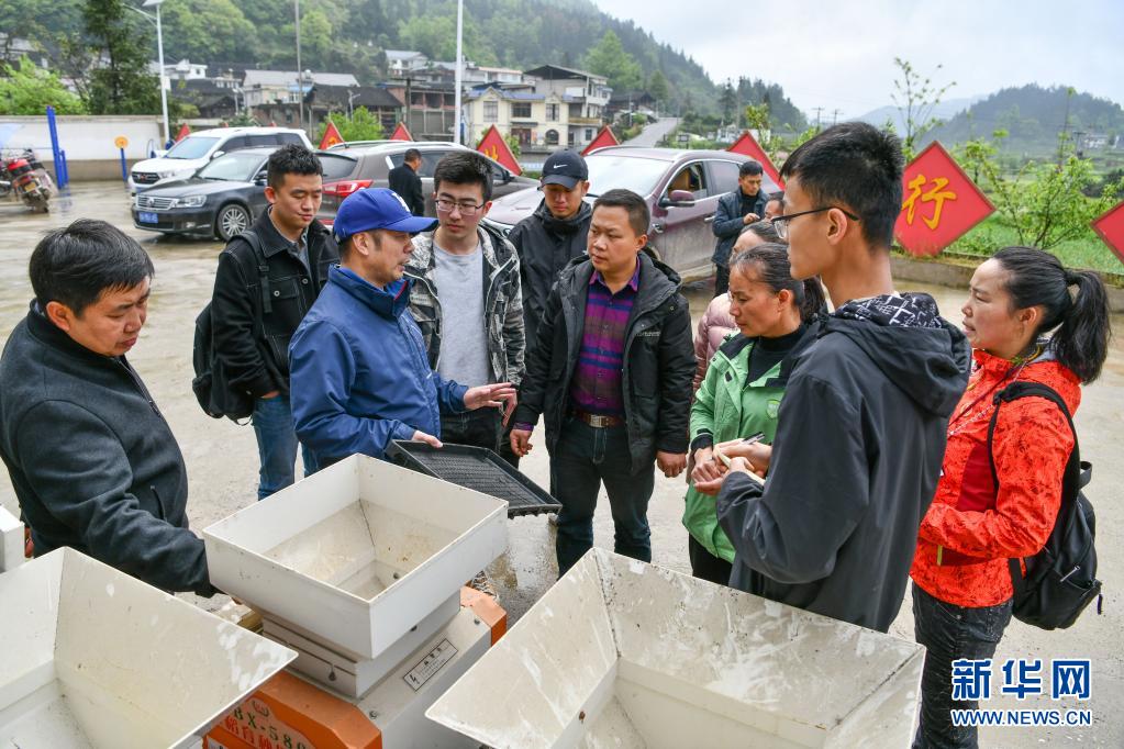 贵州农民雷竞技raybet和南京教授联手“转化”水稻栽培技术