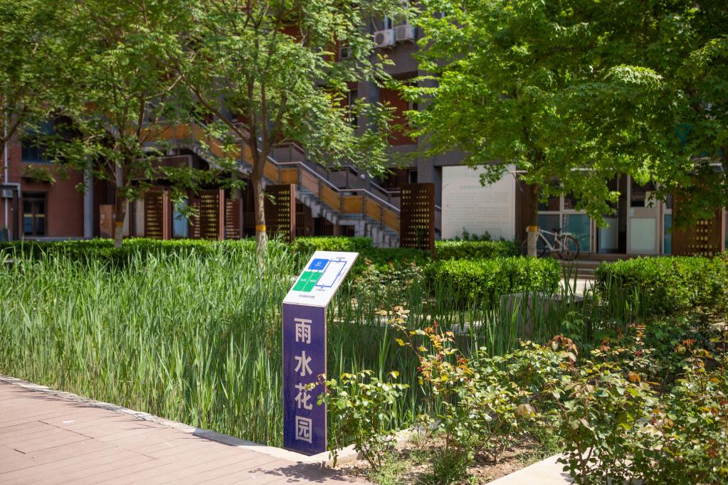 全国城市节约用水宣传周 海绵城市建设如何带来“会呼吸”的生活？