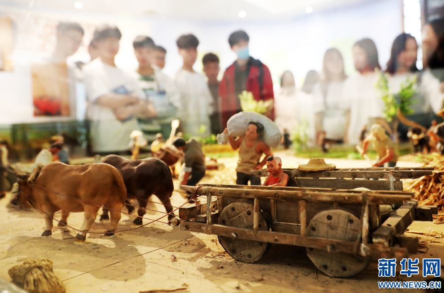 当日,中原农耕文化博物馆举办"奋斗百年·农耕嬗变"主题展览,吸引