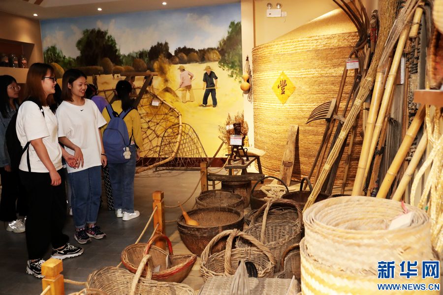 当日,中原农耕文化博物馆举办"奋斗百年·农耕嬗变"主题展览,吸引