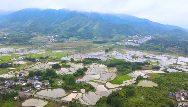 红色珍宝丨最最新开网页传奇sf后一颗子弹留给自己