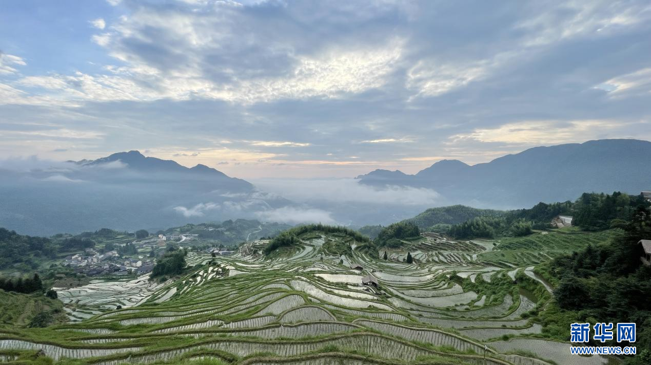 浙江：云和梯田层层叠 距今有1000多年历史