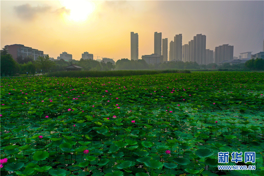 【航拍】安徽淮北：因地制宜打造“美城”