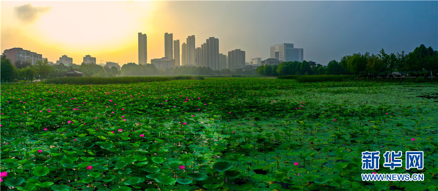 【航拍】安徽淮北：因地制宜打造“美城”